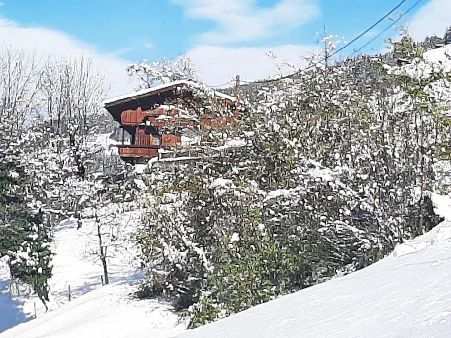 Mountain Chalet Mayrhofen Exterior photo